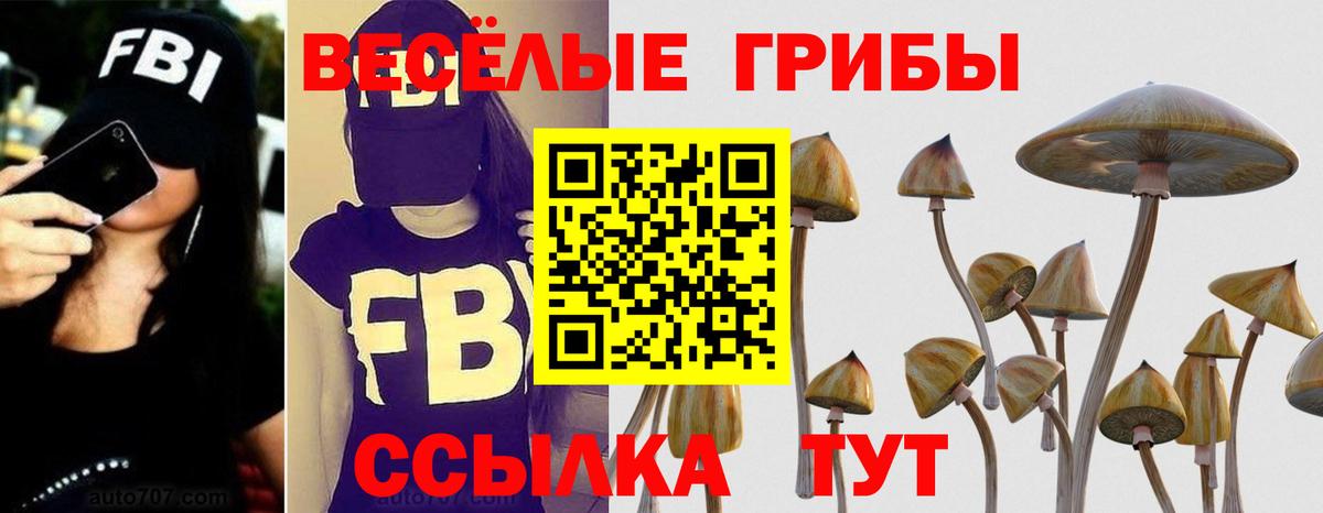 Усолье-Сибирское  купить наркотики цена  Вход с VPN  Галлюциногенные грибы Psilocybe 